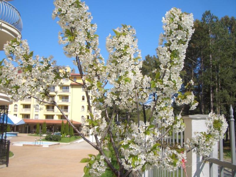 Aparthotel Complex Sunny Dreams Sunny Beach Esterno foto